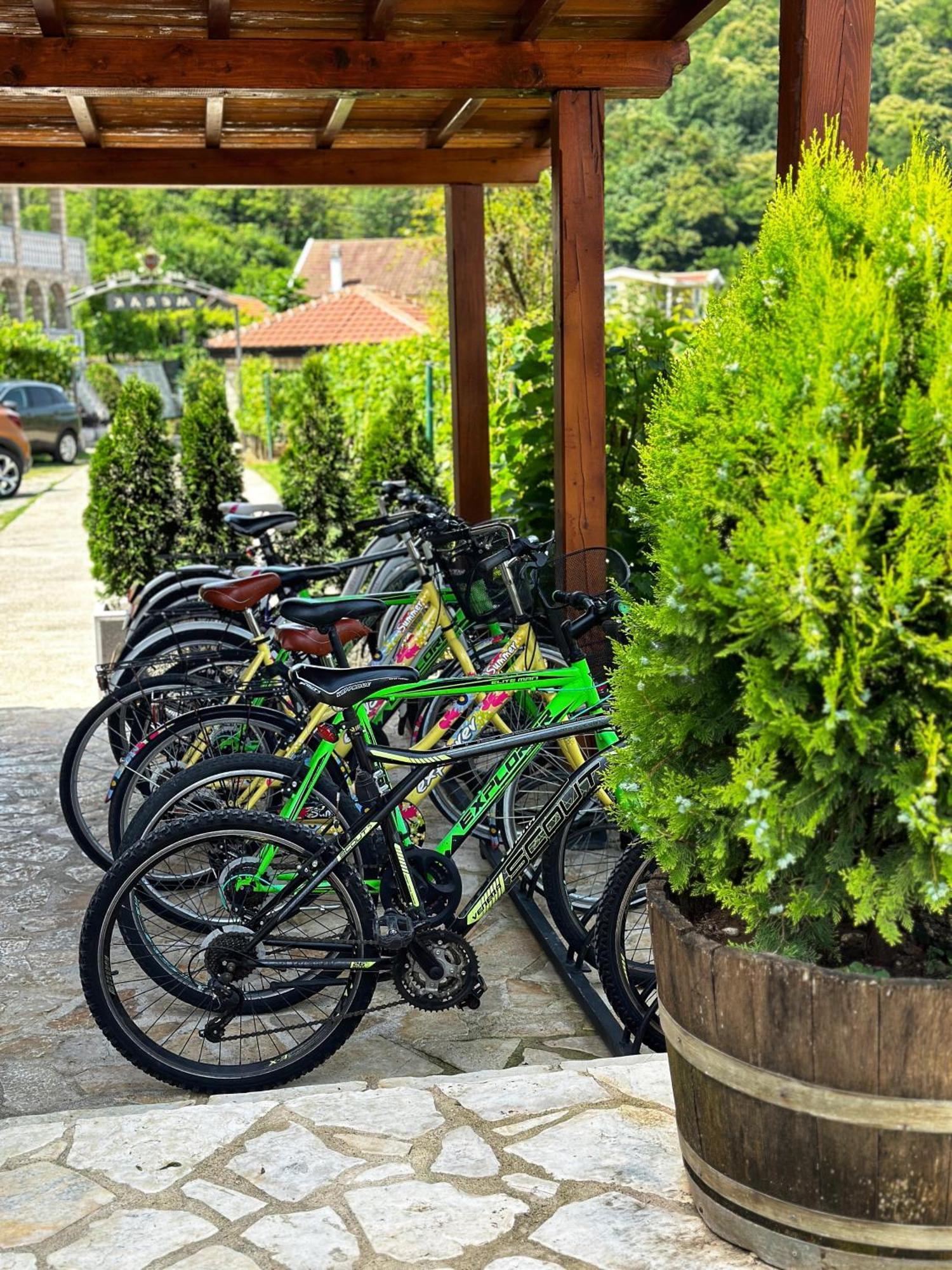 Eco Villas Merak Virpazar Zewnętrze zdjęcie